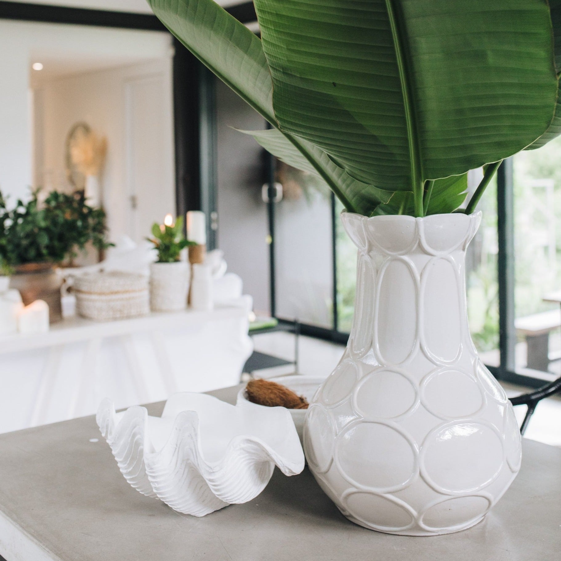 Clam Shell | White