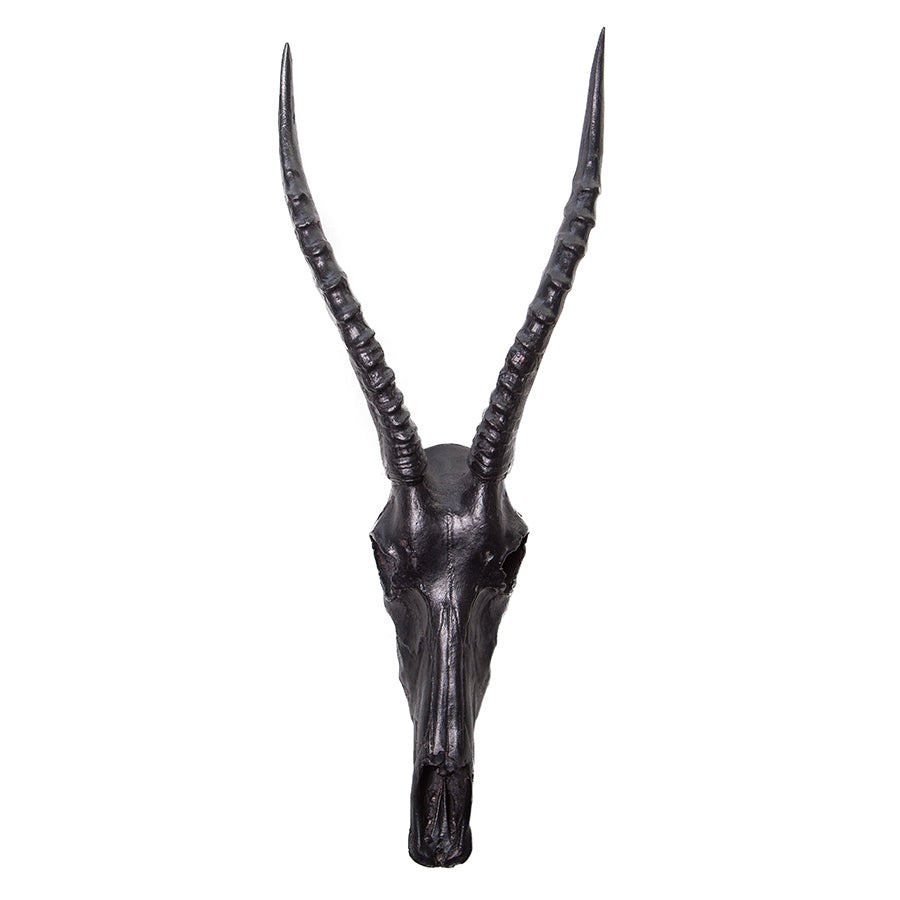 Blesbok Head
