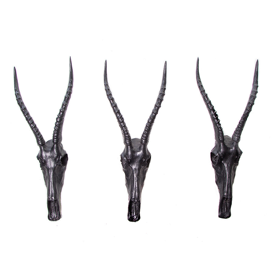 Blesbok Head