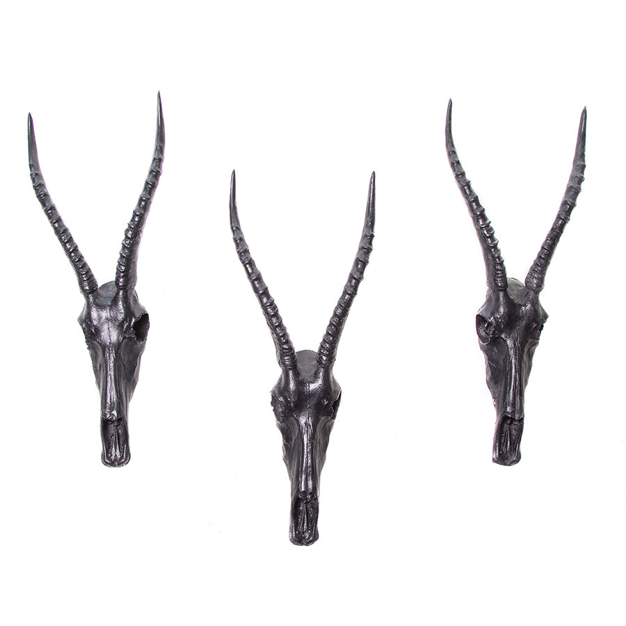 Blesbok Head