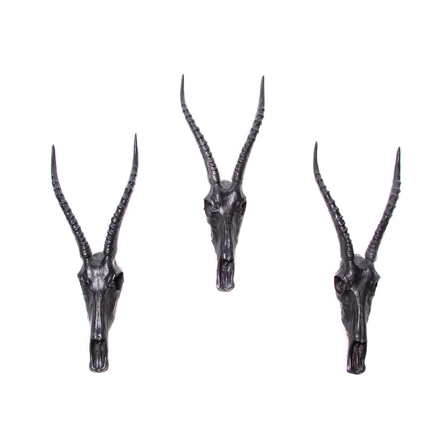 Blesbok Head