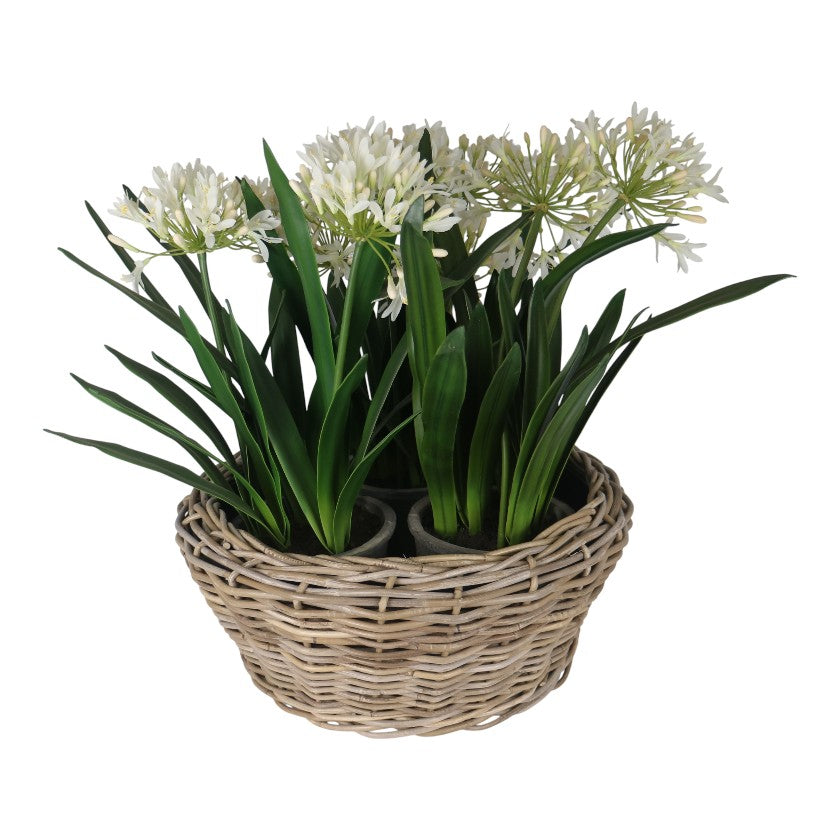 Thick Rattan Planter with Lined Inner
