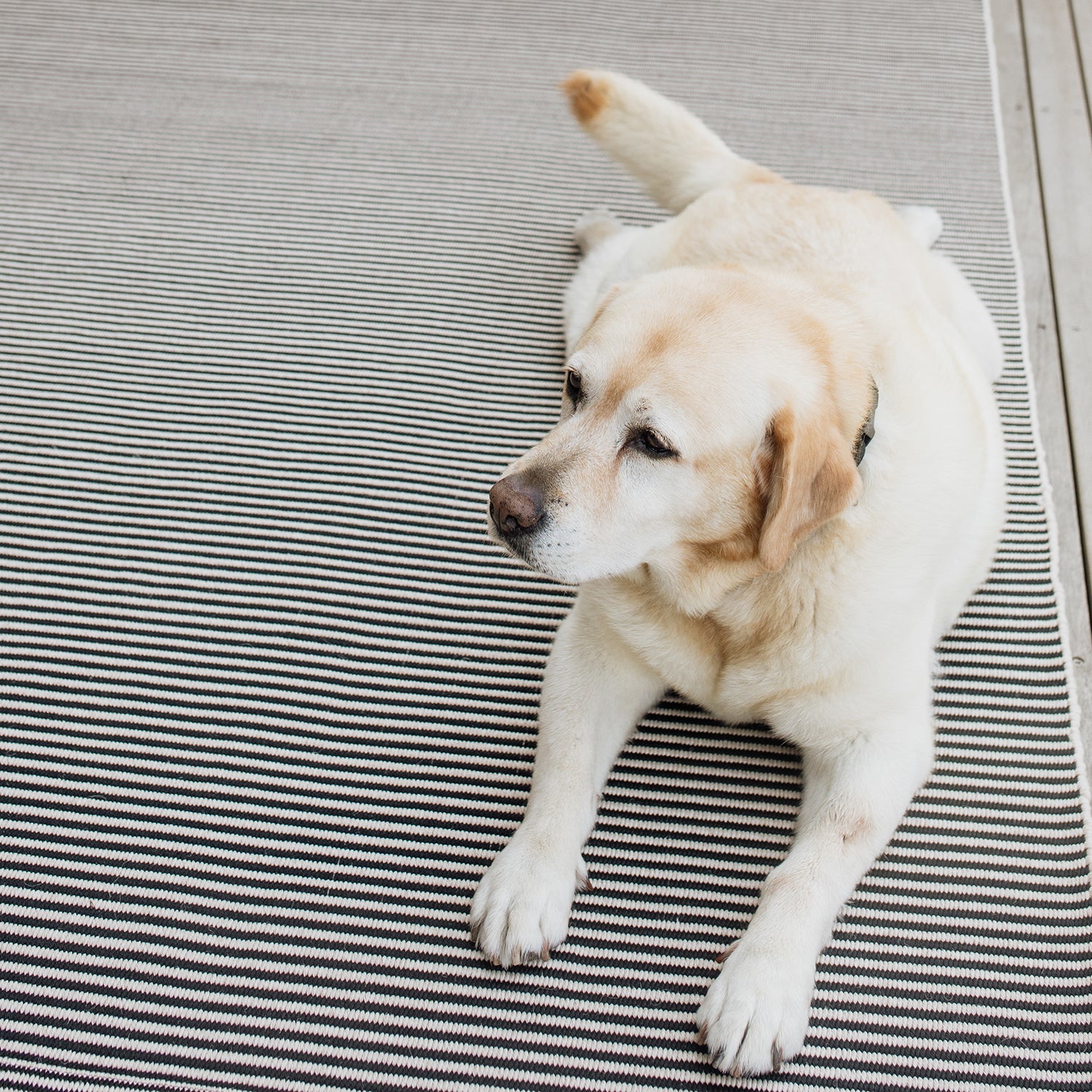 Tomball Rug