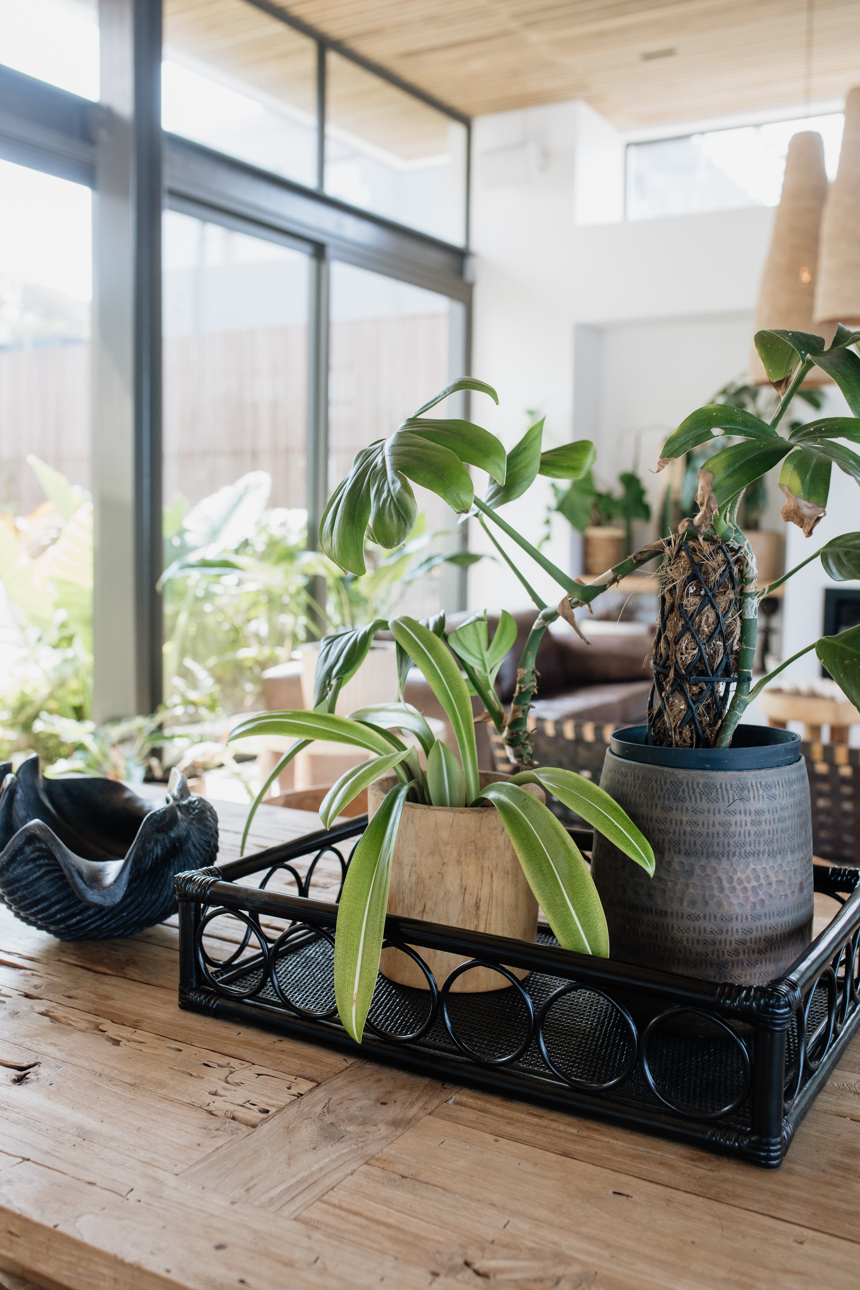 Rattan Tray