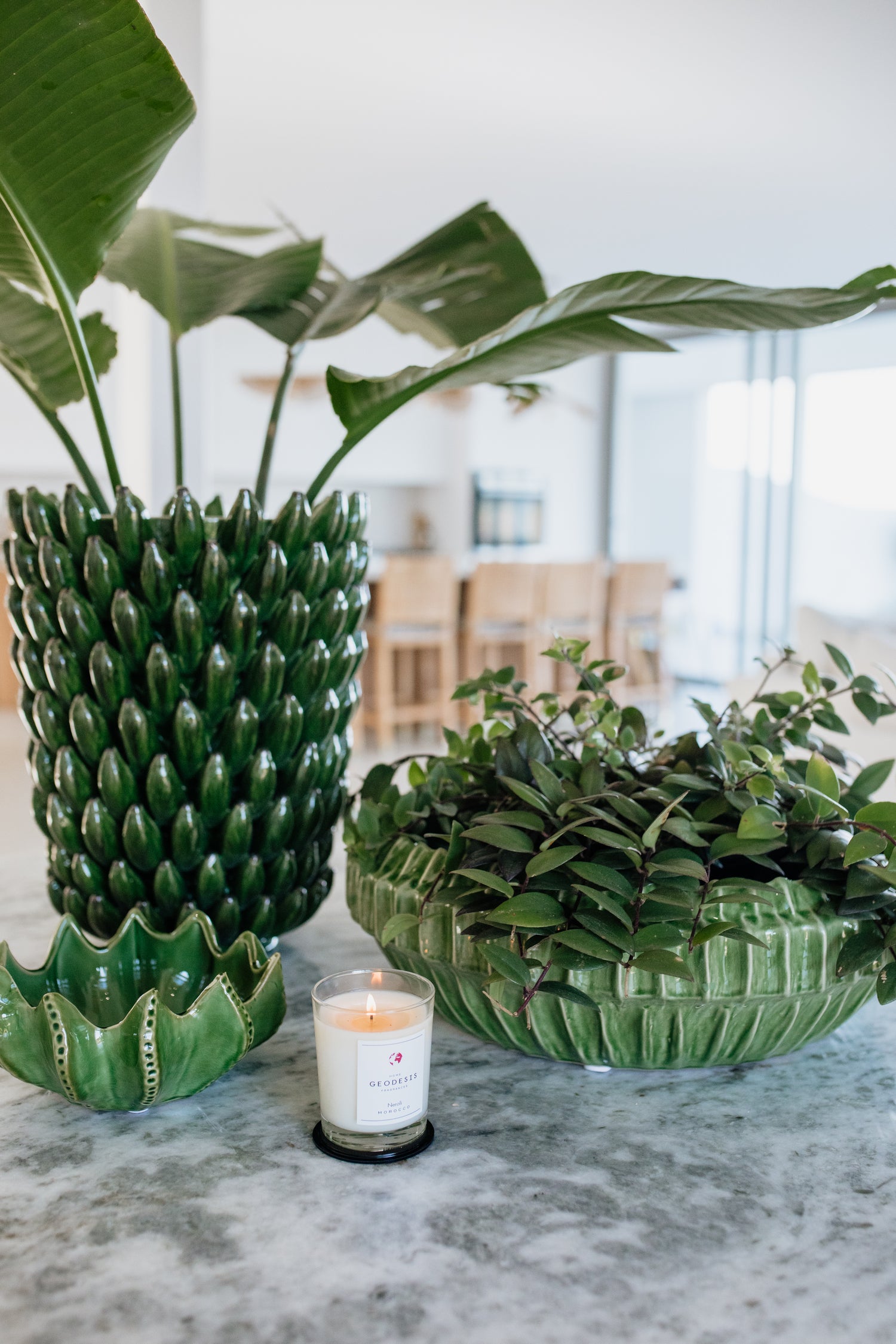 CERAMIC ALOE BOWL | GREEN