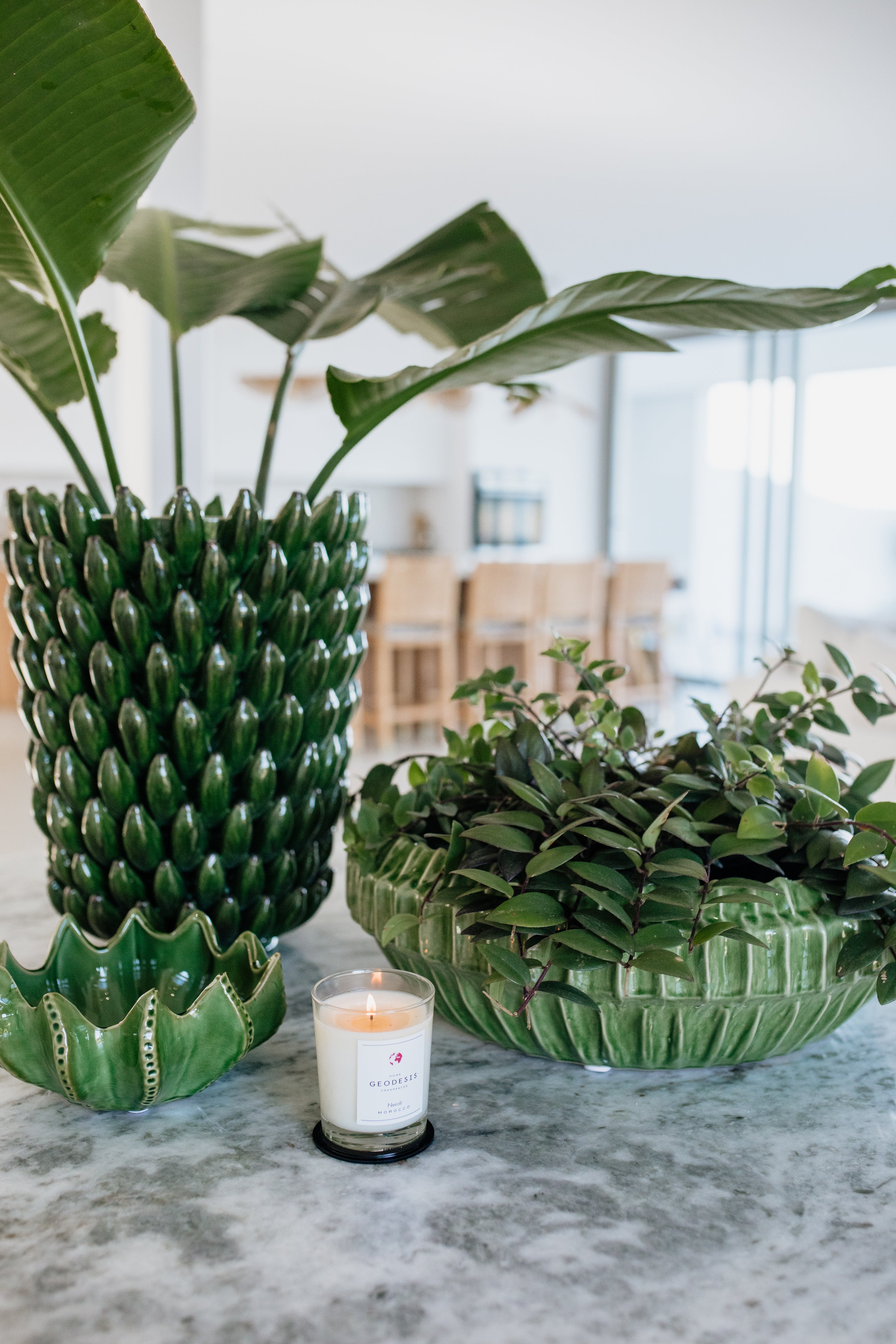 CERAMIC ALOE BOWL | GREEN