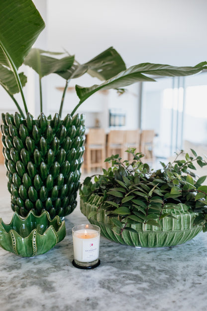 CERAMIC ALOE BOWL | GREEN