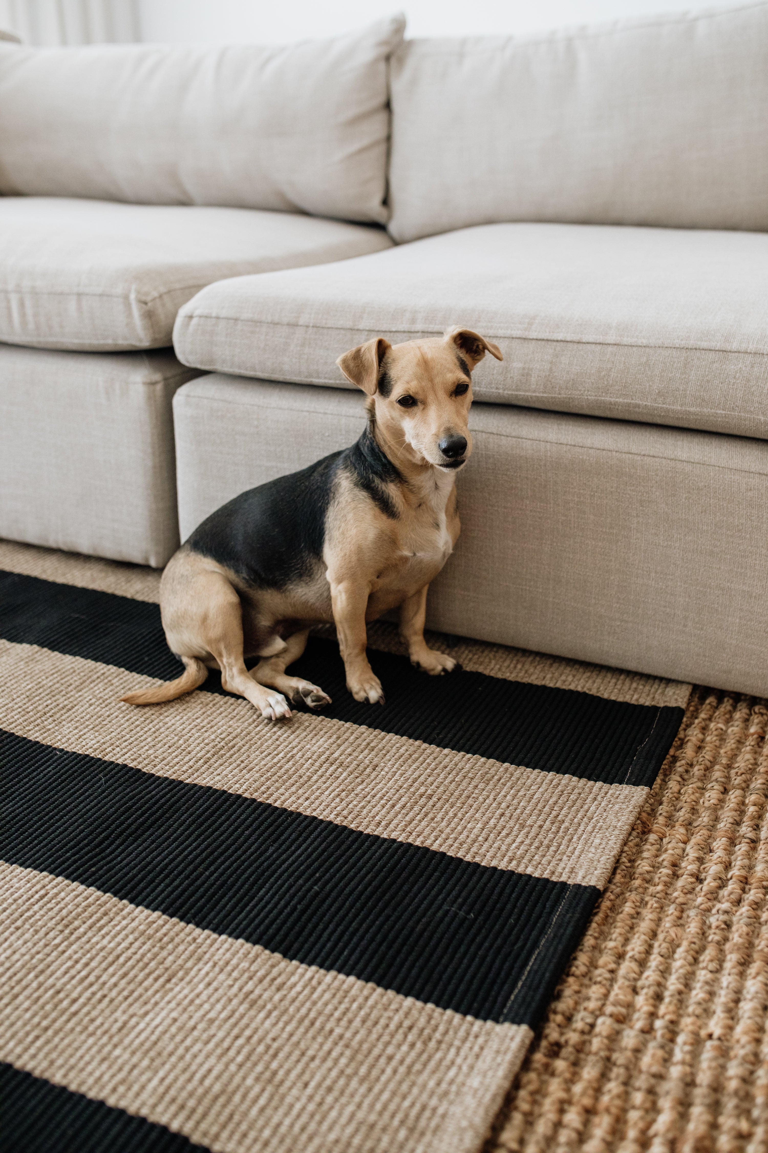 Jute Natural Rug