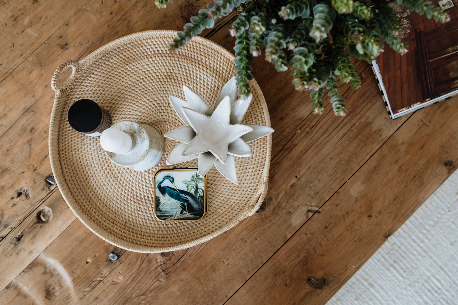 CERAMIC SPIKED ALOE | WHITE