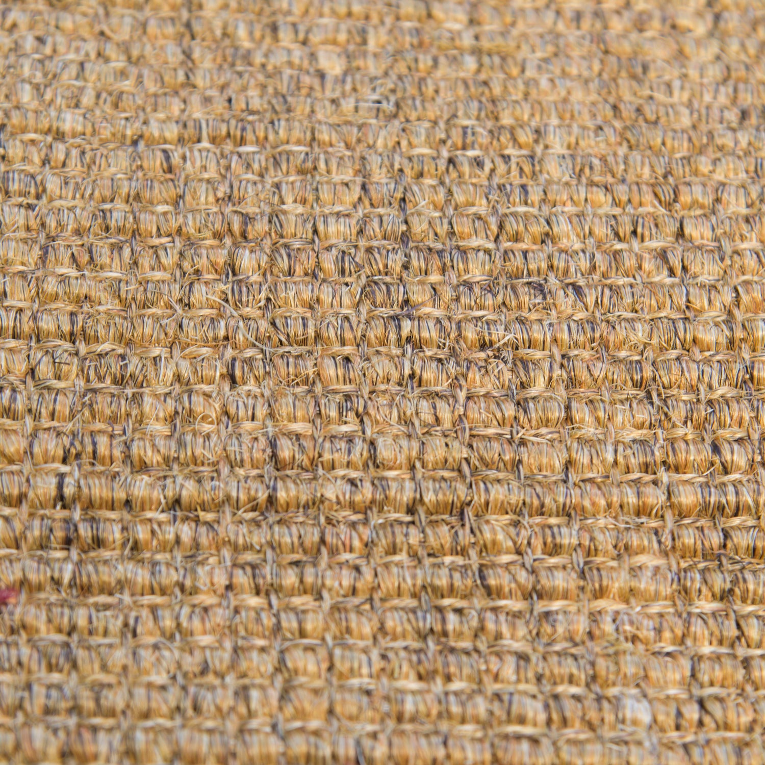 Chunky Tori Sisal Rug
