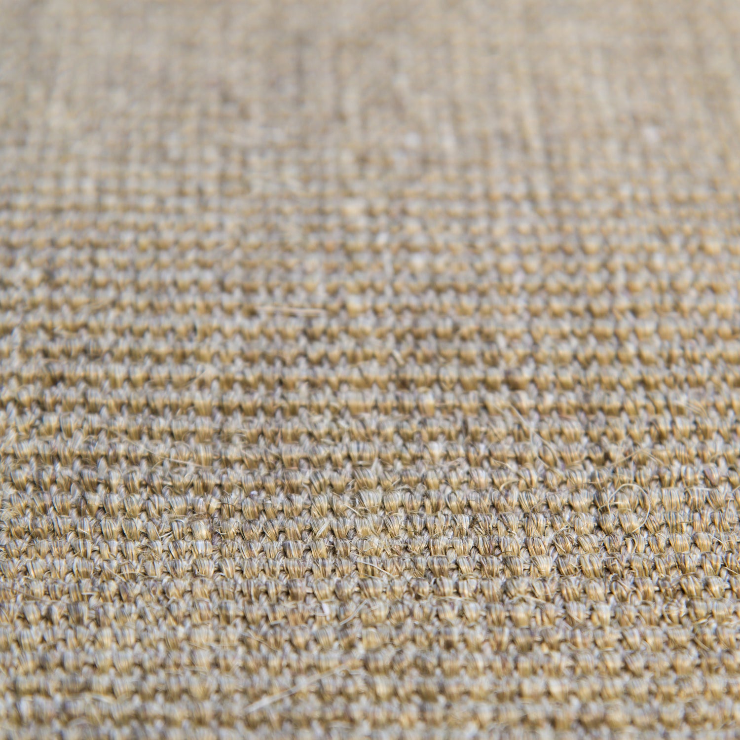 Husk Fine Boucle Sisal Rug