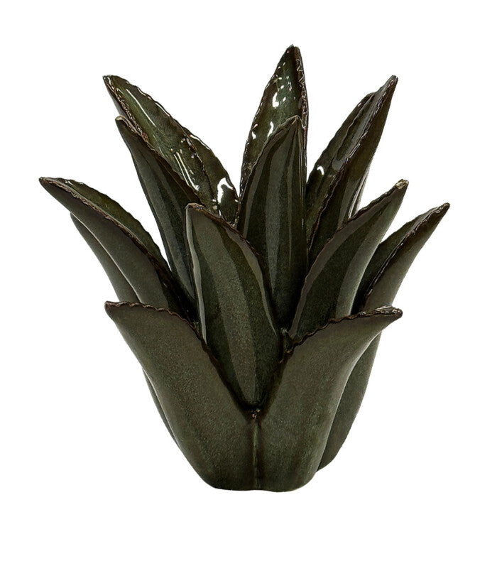 CERAMIC SPIKED ALOE | GREEN