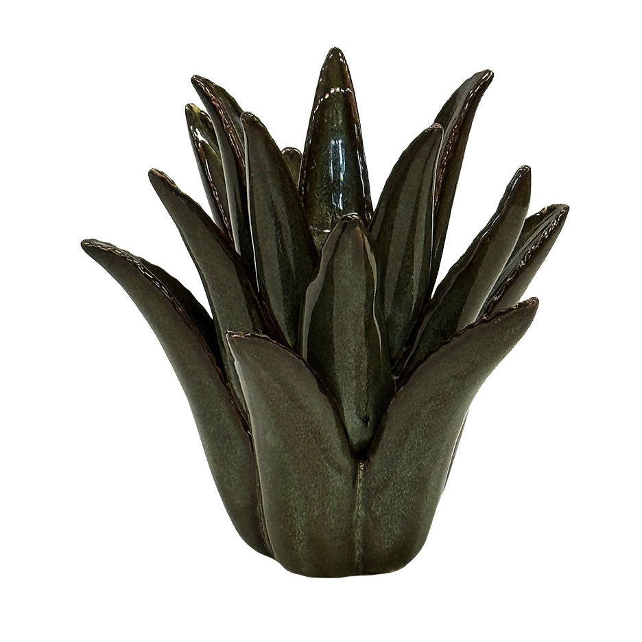CERAMIC SPIKED ALOE | GREEN