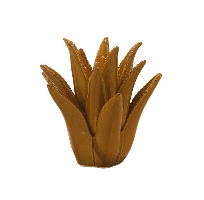 CERAMIC SPIKED ALOE | MUSTARD